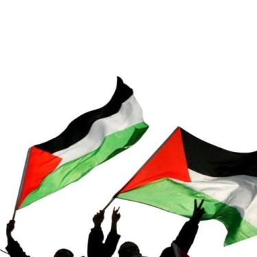 Imagem de Kit 10 Bandeira Da Palestina 1,5m X 0,90m Atacado - WCAN