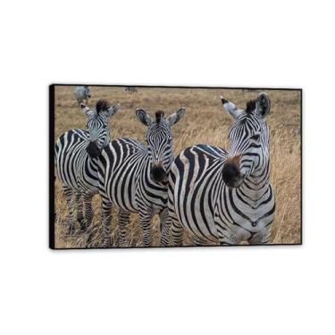 Imagem de SDYJ6GSW Imagens de animais em preto e branco para decoração de parede savana africana zebra imagem de animal impressão de imagem de cavalo em tela pintura de parede zebra decoração de parede para