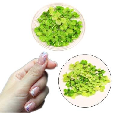 Imagem de 1 caixa 50 peças de flores de secagem de unhas, DIY, arte de unha 3D, tema de planta, forma irregular, adesivos de flores adequados para cuidados e decoração de unhas naturais pequenas, acessórios