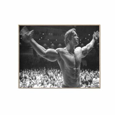 Imagem de Pôster de arte de parede com imagem Arnold Schwarzenegger Anime 30x40cm