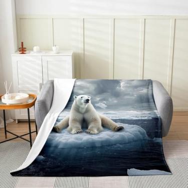 Imagem de Cobertor de cama de urso polar, cobertor de flanela de gelo de animais selvagens do Ártico para decoração de quarto, cobertor de lã nuvens de céu cinza místico para decoração de sofá de dormitório