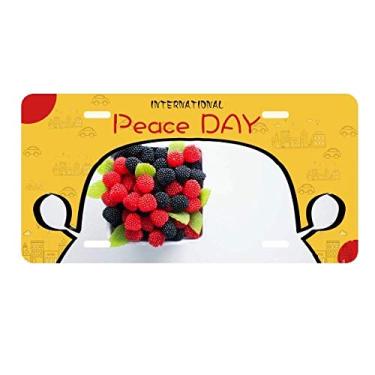 Imagem de DIYthinker Placa de licença com foto de frutas vermelhas temperadas para decoração de carro, dia da paz