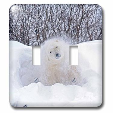 Imagem de 3dRose lsp_206876_2"Canadá, MB, urso polar Churchill sacudindo a neve na tundra congelada interruptor duplo