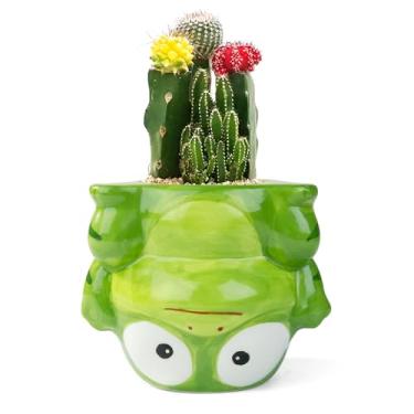 Imagem de YINUOWEI Lindo vaso de flores suculentas para decoração de jardim de bonsai de cacto, sapos