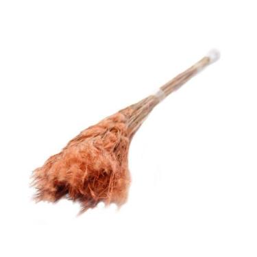 Imagem de Pluminha Flor Desidratada Variações Natural - Pense Flores, Laranja