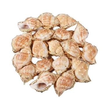 Imagem de Pingentes Espirais De Conchas Perfuradas Coloridas 5 Peças Suprimentos