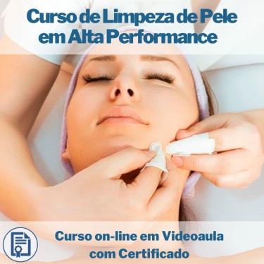 Imagem de Curso on-line em videoaula de Limpeza de Pele em Alta Performance com Certificado