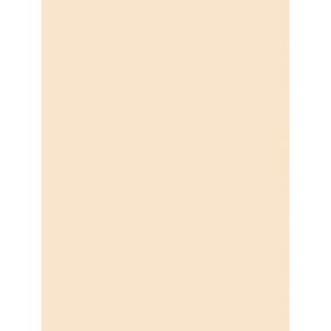 Imagem de Pacon Placa de etiqueta de peso médio, Manila, 23 cm x 30 cm, 100 folhas