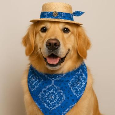 Imagem de Conjunto Pet Chapéu de Palha com Charm e Bandana Country Azul, Tamanhos P/M/G/GG, Estilo Moderno para Festas