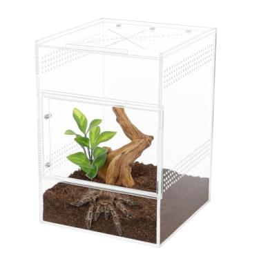 Imagem de Caixa de aranha saltadora – caixa de acrílico com porta frontal e superior, acrílico resistente de 5 mm e 3 mm, caixa de tarântula e aranha, gabinete de louva-a-deus, habitat de borboleta, tanque de