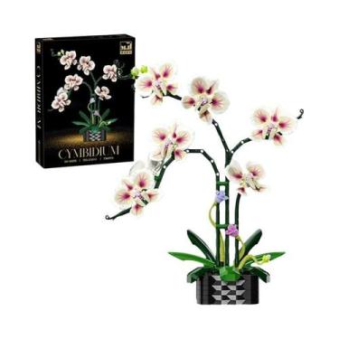 Imagem de Orquídea Cymbidium Phalaenopsis Flores Eternas Planta Em Vaso Blocos D