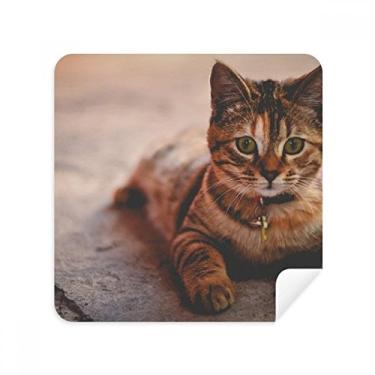 Imagem de Animal Quiet Cat Photograph Glasses Pano Limpador de Tela Tecido Camurça Pacote com 2