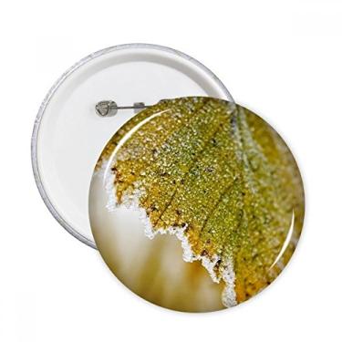Imagem de Imagem de planta de folha macia natureza alfinetes redondos crachá botão emblema acessório decoração 5 peças