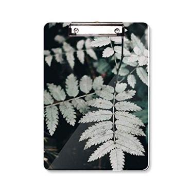 Imagem de Fotografia Folha Planta Imagem Natureza Prancheta Pasta Bloco de Escrita Placa de Apoio A4