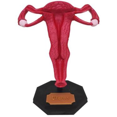 Imagem de Útero 3D Anatomia Estudo Ovário Trompas de Falópio Medicina Ensino - P
