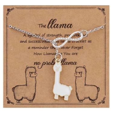 Imagem de AHAETH Colar feminino de presente de lhama sem probabilidade Lama Probllama Teacher Stuff Alpaca Birthday Lhama