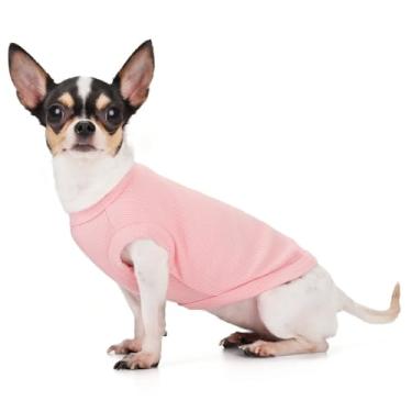 Imagem de Paiaite Camiseta regata lisa sem mangas para cães: roupas coloridas para cães pequenos (menina e menino) camisetas de cachorro em branco, roupas de estilo simples roupa confortável para caninos