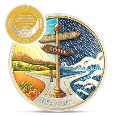 Imagem de Hope Signpost Moeda de sobriedade de 1 mês - Moedas AA Reborn from Storm - Fichas e medalhões AA de 30 dias - 1-10 anos NA AA Celebrate Recovery Addicts - Presentes de Narcóticos Alcoólicos Anônimos