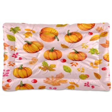 Imagem de CEBUGI Cama para cachorro de 61 x 45 cm, lavável, respirável, tapete para animais de estimação com fundo antiderrapante, almofada de abóboras para cães pequenos e médios
