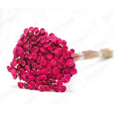 Imagem de Botão Pink Desidratado Sempre Viva Flores Secas - Tem Flores