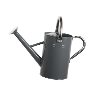 Imagem de Generic Regador de plantas com pulverizador fino, multiuso, grande capacidade, cabo de aço inoxidável, decoração, à prova de vazamentos, economia de trabalho, Cinza