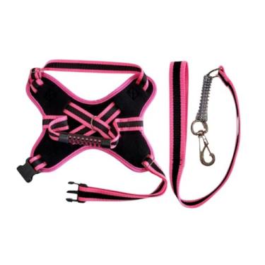 Imagem de Coleira e Guia para cachorro nome personalizado Peitoral pequeno médio grande porte(Rosa,M)