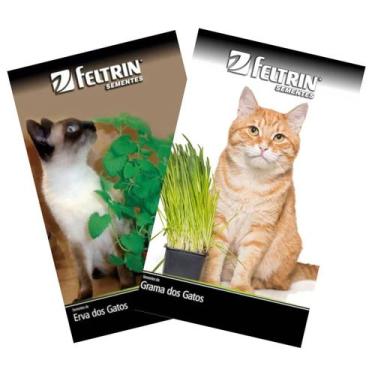 Imagem de KIT Sementes de Grama e Erva dos Gatos Catnip FELTRIN