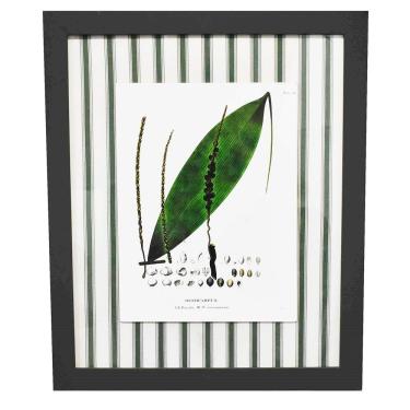 Imagem de Quadro Decorativo Botânico Dypsis Paspatur Verde 52x63cm