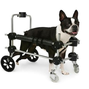 Imagem de Cadeira de 4 Rodas Cachorro Tam. M Médio Regulável Tetraplegia Paralis