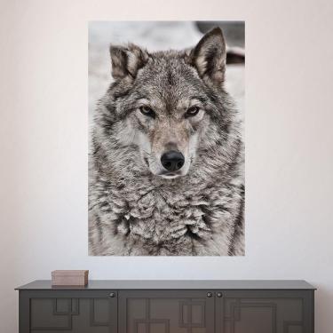 Imagem de Painel Adesivo de Parede - Lobo - Animais - 1584pnm