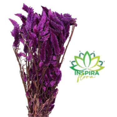 Imagem de Buque Maço Celosia Rabo De Gato Flores Desidratadas - Inspira Flora, R
