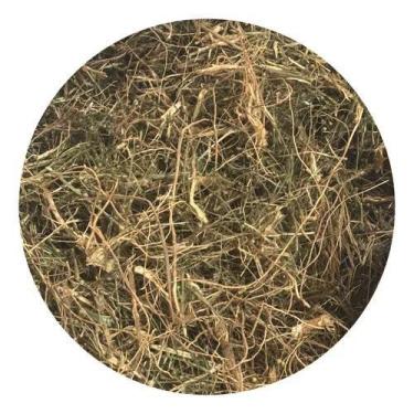 Imagem de Vassourinha Doce 250g (Erva Desidratada) - Magnata das Ervas