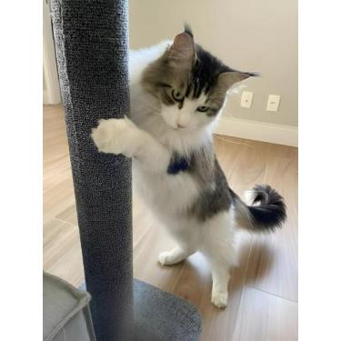 Imagem de Arranhador para Gatos 90cm com Carpete Ultra Resistente - Cinza - Cozy