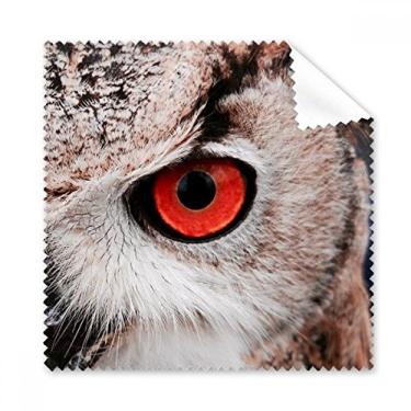 Imagem de Pano de limpeza de coruja animal organismo terrestre para limpeza de óculos, 5 peças