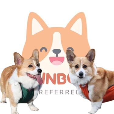 Imagem de RainbowPreferred Protetor de Barriga de Cachorro Impermeável, Capa de Barriga de Cachorro, Conjunto de Recuperação de Cachorro, Colete de Barriga de Cachorro, Lavável Fácil de Usar e Limpar Fantasia