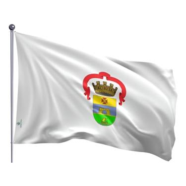 Imagem de Bandeira do município Porto Alegre Estampada dupla face - 0,70X1,00m