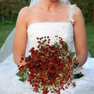Imagem de Kit 20 Galhos Flores Românticas: Distribuidora de Flores Artificiais p