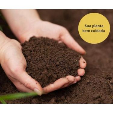 Imagem de Kit Terra Adubada 6kg + Húmus de Minhoca 1kg - Plantas - Horta - Vasos
