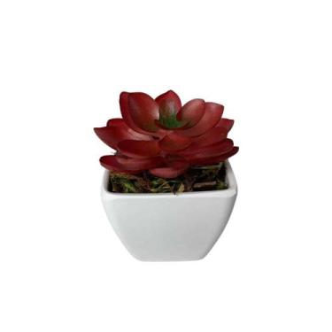 Imagem de Suculenta Artificial Mini Vaso de Plástico Branco - Melhores Ofertas, 