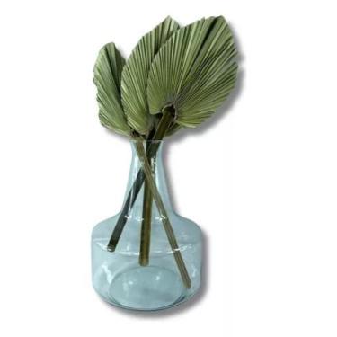 Imagem de Vaso Garrafa Passione De Vidro Com Mini Latania Decoração - INSPIRA FL