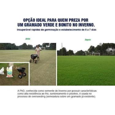 Imagem de Sementes de Grama PHD de 1 kg - Realpecuaria