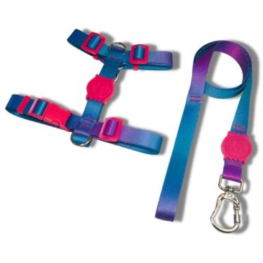 Imagem de Coleira Peitoral Tipo H para Cães - Anti-Puxão com Guia de 1,10m | Varias Estampas (Azul e Roxo,M)