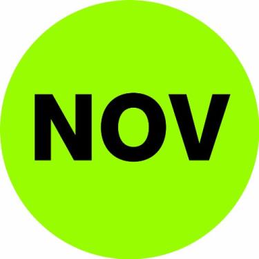 Imagem de Tape Logic DL6733 etiqueta circular de inventário meses do ano pré-impressa, Legend"NOV", diâmetro de 25 cm, verde fluorescente (rolo de 500)