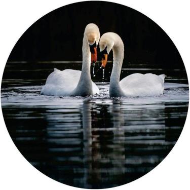 Imagem de Capa De Estepe Ecosport Crossfox 2 Cisnes