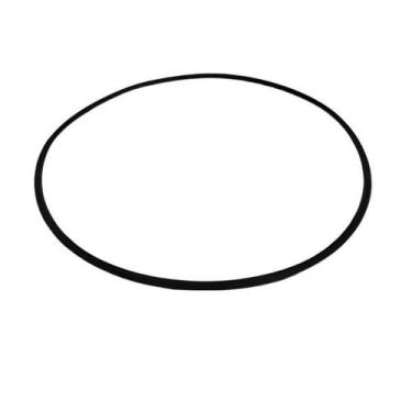 Imagem de Anel oring base da válvula e corpo motobomba Pentair BPF DEX154 X DIN.