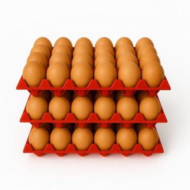 Imagem de Kit 3 Cartela De Ovos Plástica Bandeja 30 Ovos Higiênica - Global Cont