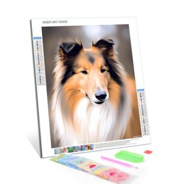 Imagem de MOER SKY Kits de pintura de diamante animal para adultos, DIY 5D Round Full Drill Collie Dog Diamond Art, muito adequado para lazer em casa e decoração de parede (30,5 x 40,6 cm)