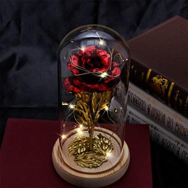 Imagem de HiPeep Presente de Dia dos Namorados, Rosa com Envelope, Rosa Vermelha Eterna em uma Cúpula de Vidro, Aniversário de Aniversário para Mãe, Esposa, Namorada, Avó Irmã, Flores de Rosas de Vidro para