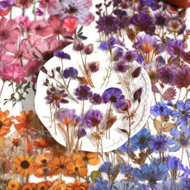 Imagem de 50 adesivos florais para álbuns, PET transparente com acentos, decalques de flores vibrantes, tipos de pétalas de cores sortidas, adesivos de scrapbook, acessórios de diário (roxo)