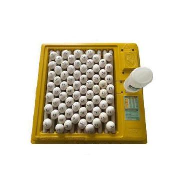 Imagem de Chocadeira Premium Ecológica Ip 70D 220V - Premium Ecologica